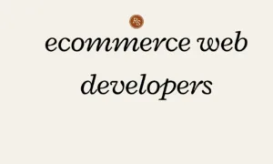 ecommerce web developers ecommerce web developers