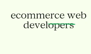ecommerce web developers ecommerce web developers