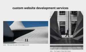 custom website development services custom website development services