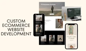 custom ecommerce website development custom ecommerce website development