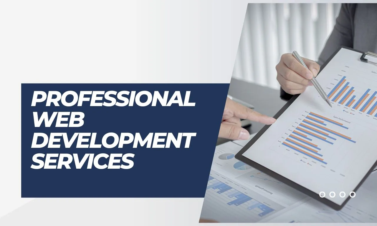 You are currently viewing professional web development services